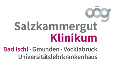 sk_bi_logo_mit_subline